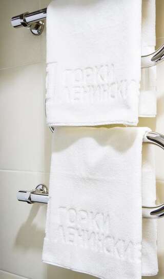 Гостиница Visit Center Gorki Leninskie Москва-7